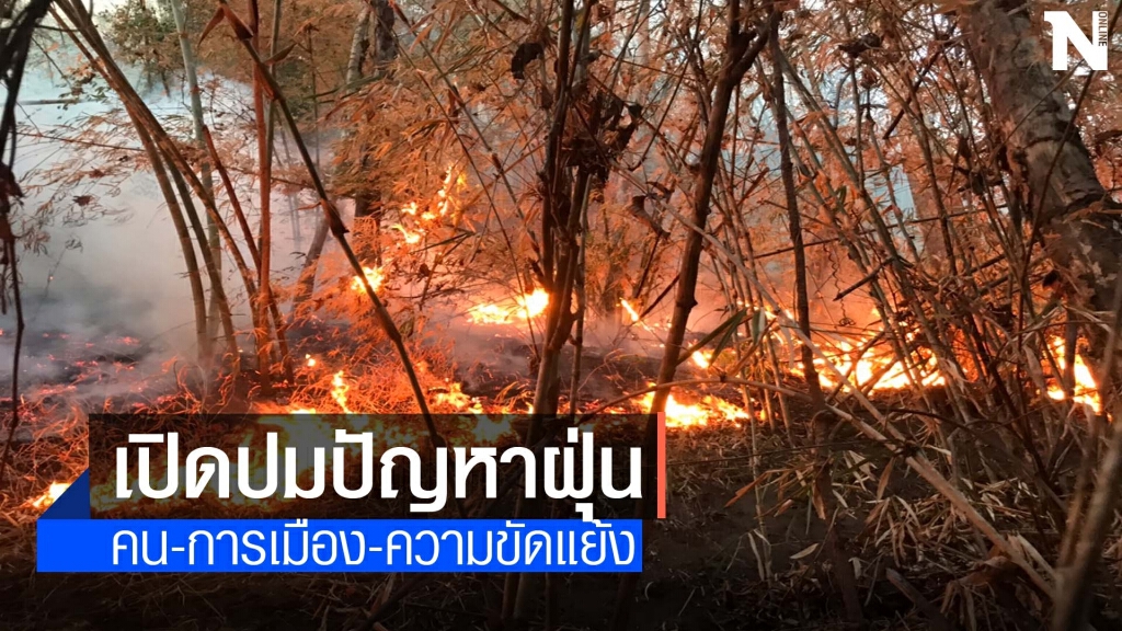 "เอ็นจีโอ" เปิดปมปัญหาฝุ่นเหนือ