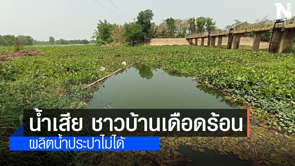 สุดทน! น้ำเหม็นโรงแป้งปล่อยน้ำเสียลงลำมูล สุดทน! น้ำเหม็นโรงแป้งปล่อยน้ำเสียลงลำมูล