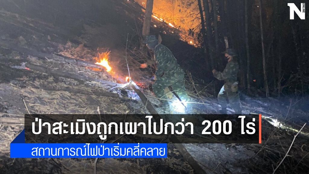 ไฟเผาป่าสะเมิงวอดกว่า200 ไร่