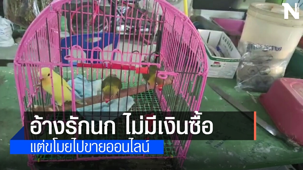 จับกุมหนุ่มต่างด้าวขโมยนกโพสต์ขายโซเชียล
