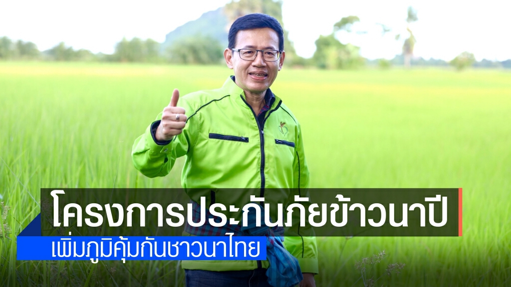 คปภ.เดินหน้าประกันภัยข้าวนาปี ลด 'ค่าเบี้ย' ช่วยชาวนา