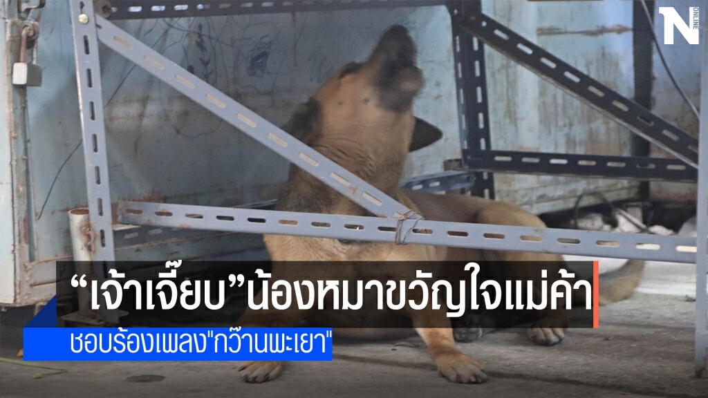 ทึ่ง"เจ้าเจี๊ยบ"ชอบร้องเพลง"กว๊านพะเยา" ทึ่ง"เจ้าเจี๊ยบ"ชอบร้องเพลง"กว๊านพะเยา"