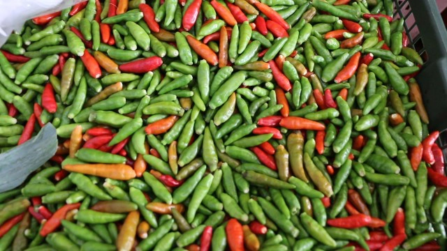 พริกราคาดิ่งสวนทางผักสดราคาแพงขึ้น