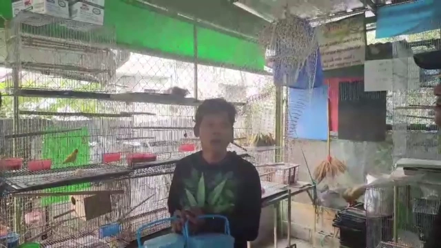 จับกุมหนุ่มต่างด้าวขโมยนกโพสต์ขายโซเชียล