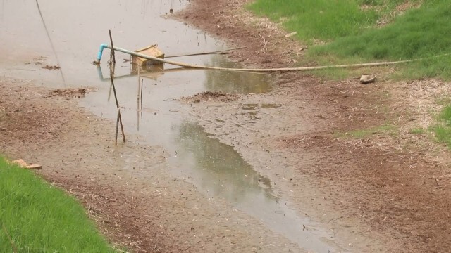 แล้งหนัก! แม่น้ำพิจิตรสายเก่าแห้งขอด