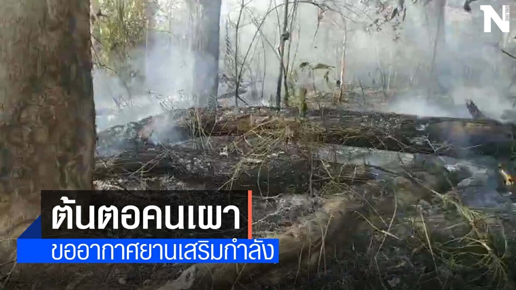 ระวังไฟลาม"ดอยสุเทพ-ดอยหลวงเชียงดาว"