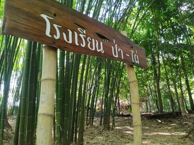 มาตามนัด"เจ้าทองดี"กระทิงเชื่องบุกสวนลุงโชครอนักท่องเที่่ยว