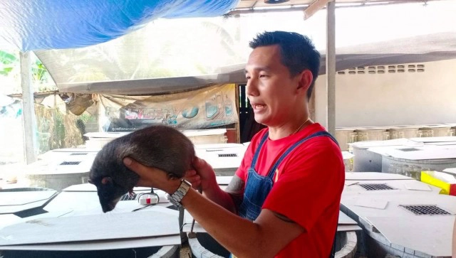 ทีมเพชรน้ำดำจับกลุ่มเลี้ยงหนูนาตัวบิ๊กเบิ้มส่งขายอาชีพเสริมรายได้งาม