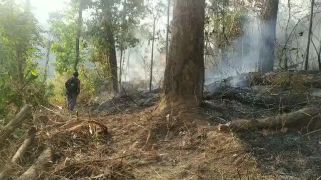 ระวังไฟลาม"ดอยสุเทพ-ดอยหลวงเชียงดาว"