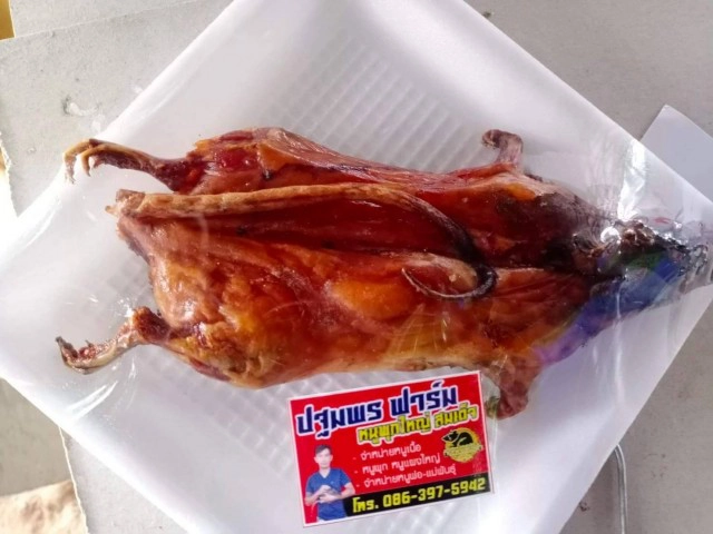 ทีมเพชรน้ำดำจับกลุ่มเลี้ยงหนูนาตัวบิ๊กเบิ้มส่งขายอาชีพเสริมรายได้งาม