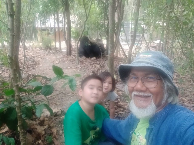 มาตามนัด"เจ้าทองดี"กระทิงเชื่องบุกสวนลุงโชครอนักท่องเที่่ยว