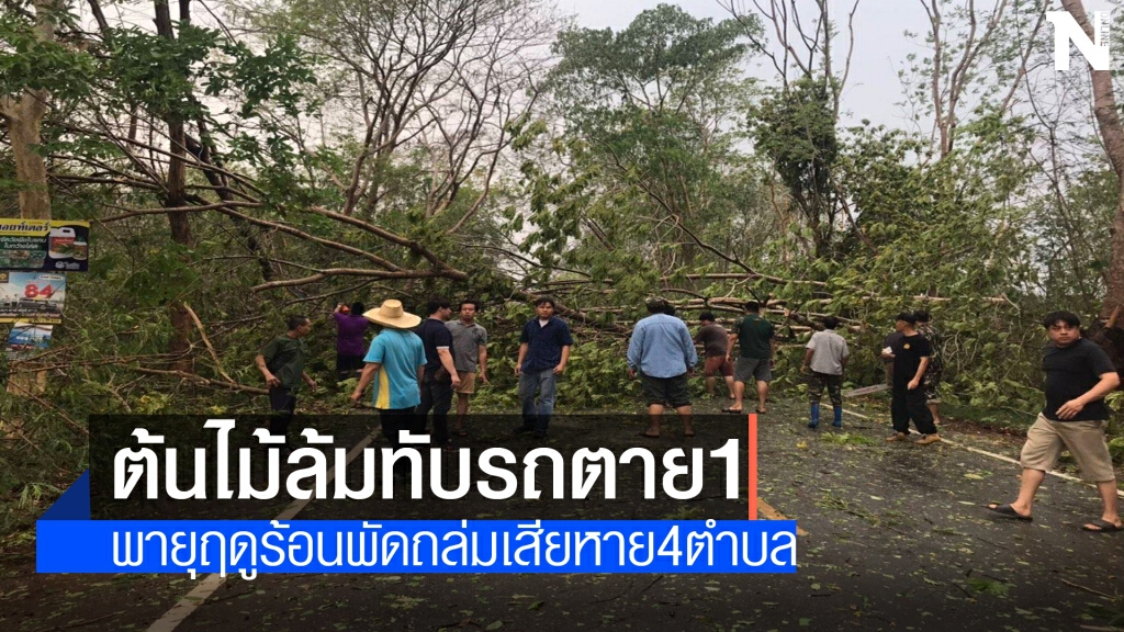 พายุฤดูร้อนพัดต้นไม้ล้มทับรถดับ1ราย พายุฤดูร้อนพัดต้นไม้ล้มทับรถดับ1ราย