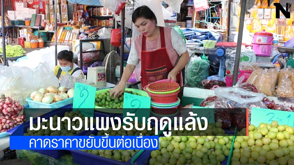 ร้อนจัดมะนาวแพง คาดขยับราคาขึ้นอีก ร้อนจัดมะนาวแพง คาดขยับราคาขึ้นอีก