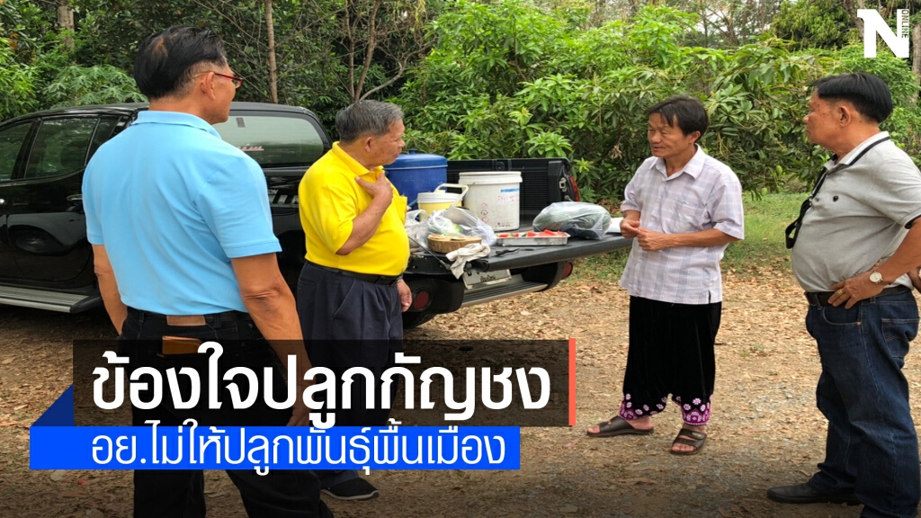 บุกสสจ.ตากข้องใจปลูกกัญชงพันธุ์พิ้นเมืองไม่ได้