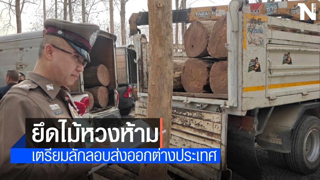 จับแก๊งค้าไม้ข้ามชาติ