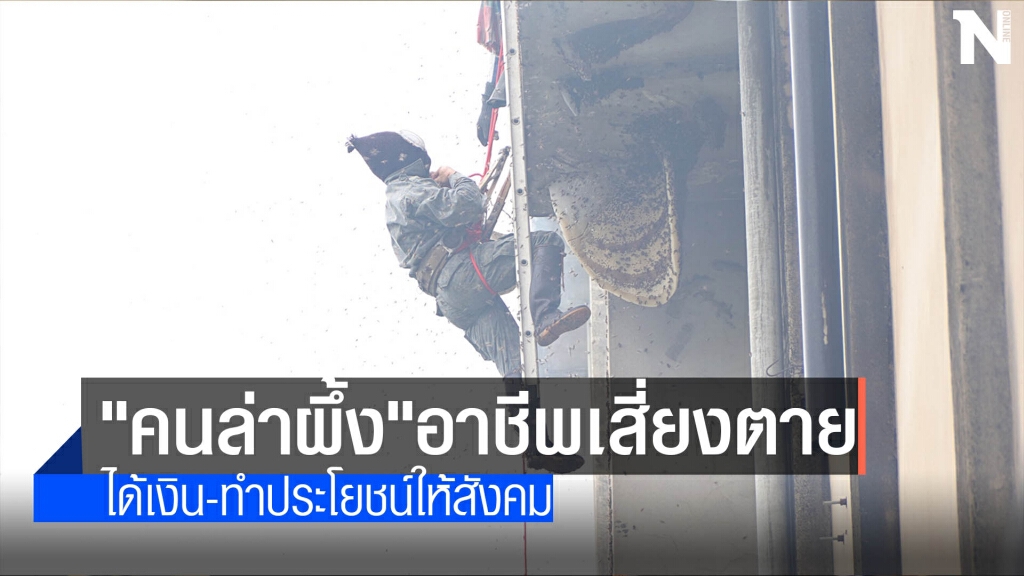 "คนล่าผึ้ง"อาชีพเสี่ยงตาย