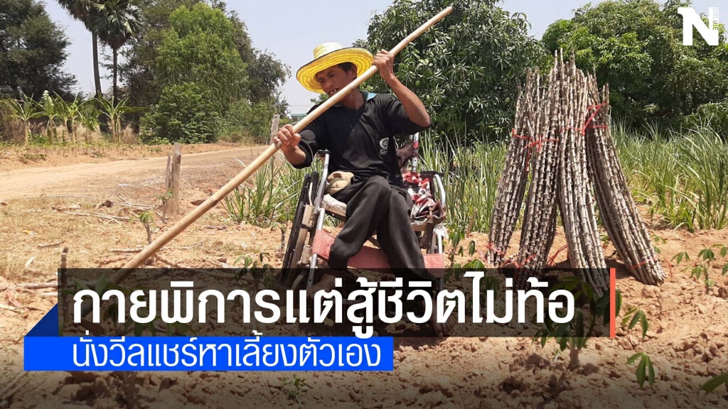 ไม่ยอมแพ้นั่งรถเข็นหาเลี้ยงชีวิต ไม่ยอมแพ้นั่งรถเข็นหาเลี้ยงชีวิต