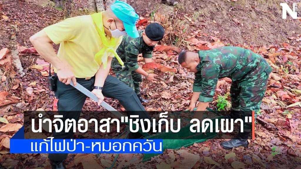 "ชิงเก็บลดเผาป่า"แก้หมอกควัน "ชิงเก็บลดเผาป่า"แก้หมอกควัน