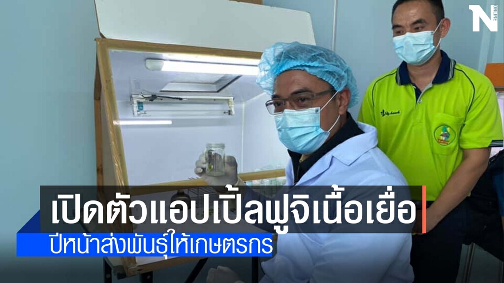 สารคามไม่ธรรมดาปีหน้าจะปลูกแอปเปิ้ล