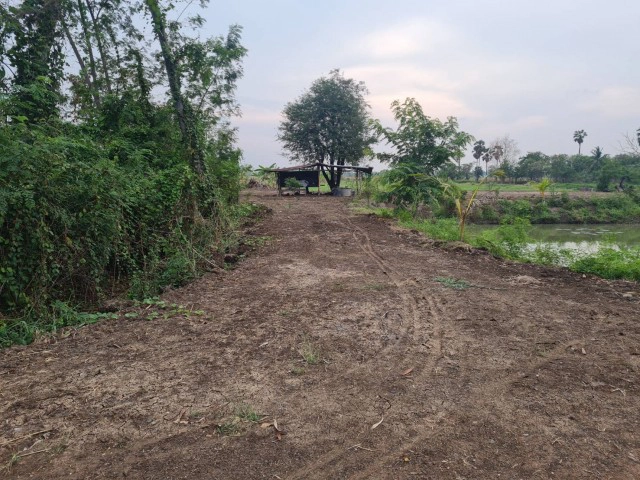 สุดทนใช้เถียงนาระบายอารมณ์ใคร่