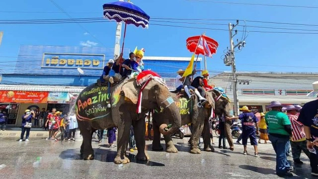 ชาวสุโขทัยแห่ชม"ช้างบวชนาค"ชาวไทยพวน