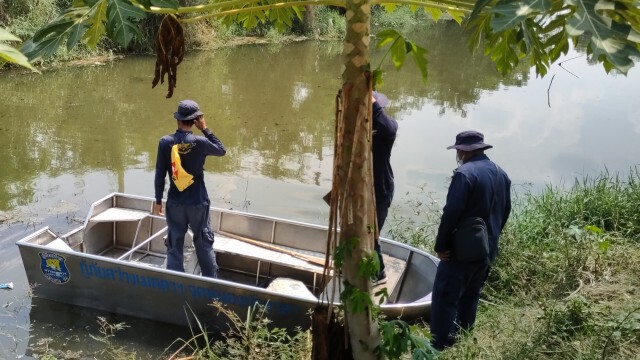 จระเข้โผล่อาบแดดริมตลิ่งลำน้ำสาขาลำตะคอง