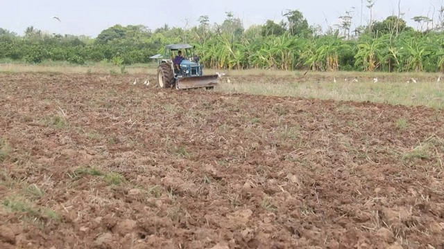 ชาวนา"ไถดะ"ปรับหน้าดินเตรียมพื้นที่ทำนา