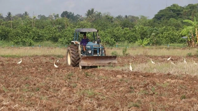 ชาวนา"ไถดะ"ปรับหน้าดินเตรียมพื้นที่ทำนา