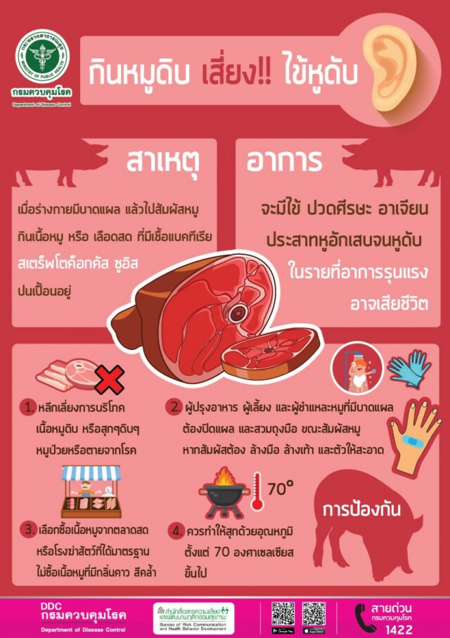 กรมควบคุมโรค เตือนปชช.เลี่ยงรับประทานหมูดิบ เสี่ยงป่วยโรคไข้หูดับถึงขั้นเสียชีวิต