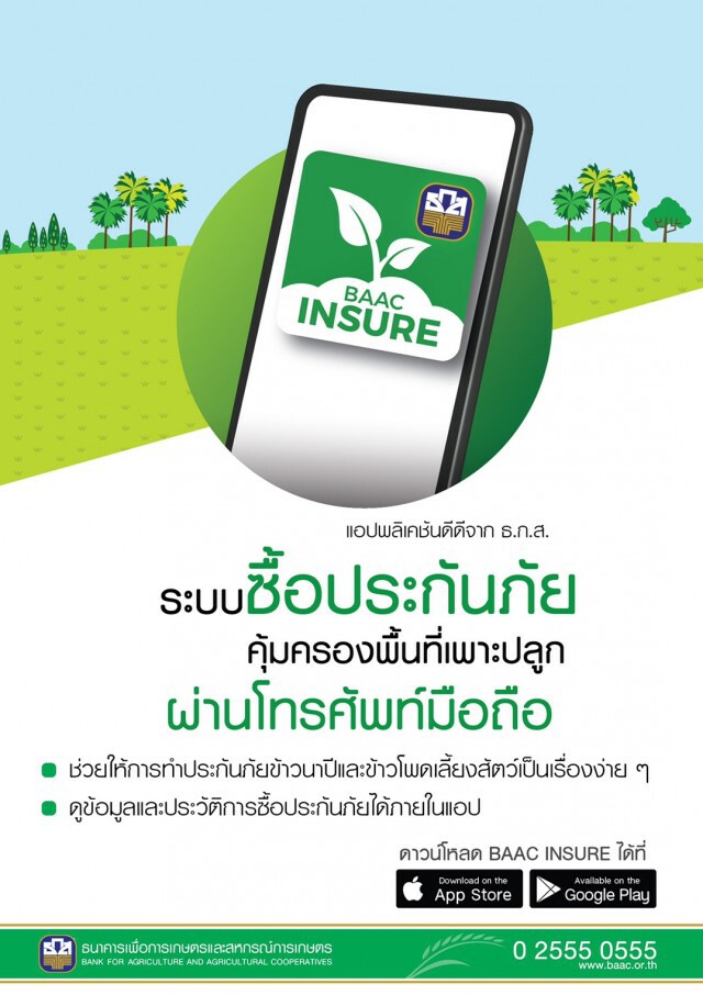ธ.ก.ส. เปิดรับทำประกันภัยข้าวนาปีเป้า 46 ล้านไร่