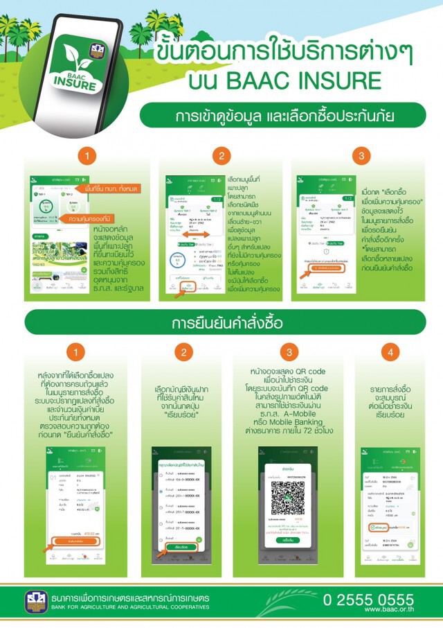 ธ.ก.ส. เปิดรับทำประกันภัยข้าวนาปีเป้า 46 ล้านไร่