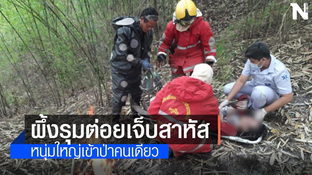 เข้าป่าตีรังพลาดถูกฝูงผึ้งรุมต่อยอาการสาหัส เข้าป่าตีรังพลาดถูกฝูงผึ้งรุมต่อยอาการสาหัส