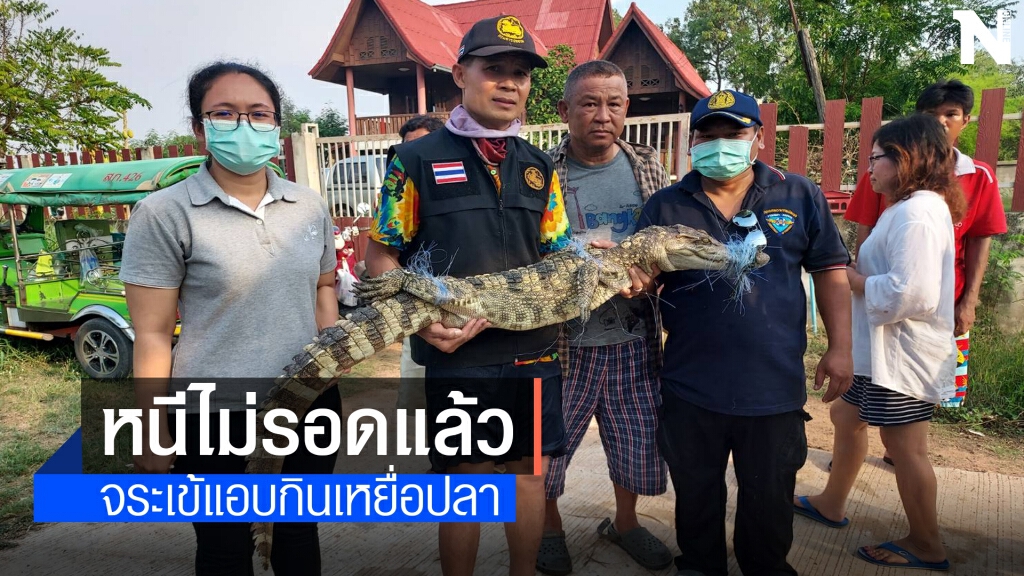 ไอ้เข้จนมุม "เจ้าบุญรอด" ถูกล้อมจับในลำน้ำสาขาลำตะคอง ไอ้เข้จนมุม "เจ้าบุญรอด" ถูกล้อมจับในลำน้ำสาขาลำตะคอง