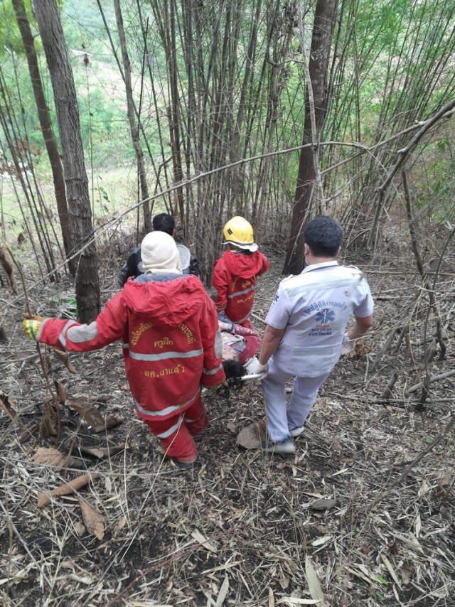 เข้าป่าตีรังพลาดถูกฝูงผึ้งรุมต่อยอาการสาหัส