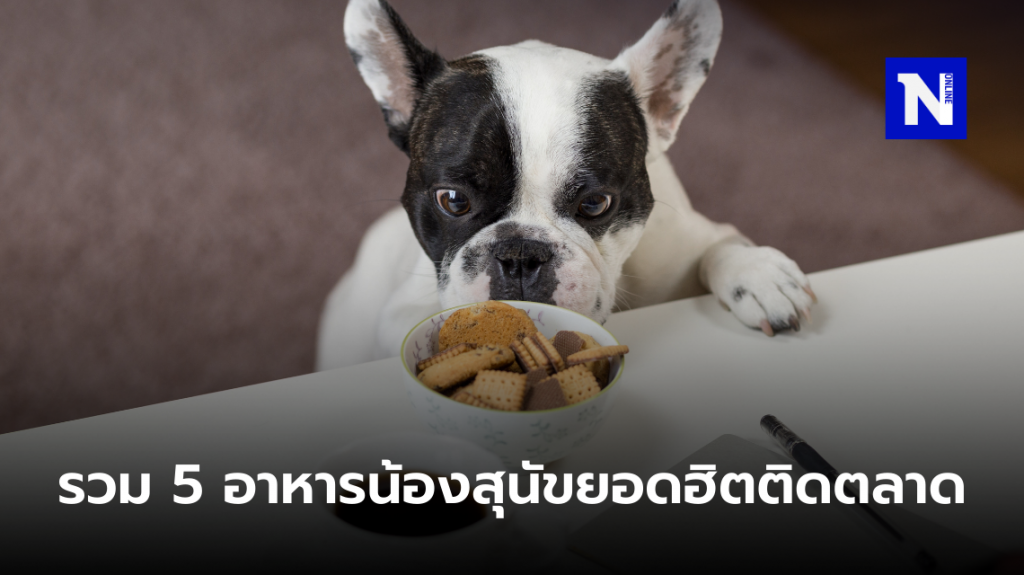 รวม 5 อาหารน้องสุนัขยอดฮิตติดตลาด