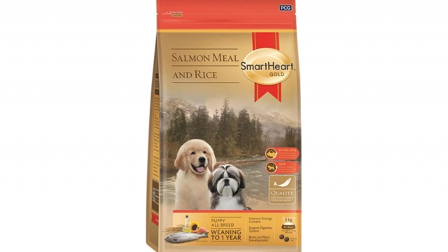 รวม 5 อาหารน้องสุนัขยอดฮิตติดตลาด