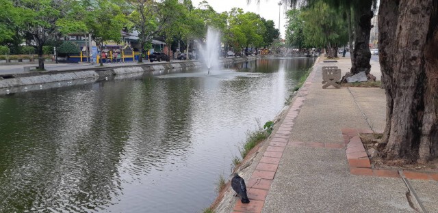 เปิดงานปี๋ใหม่เมืองเชียงใหม่สืบสานประเพณีล้านนา