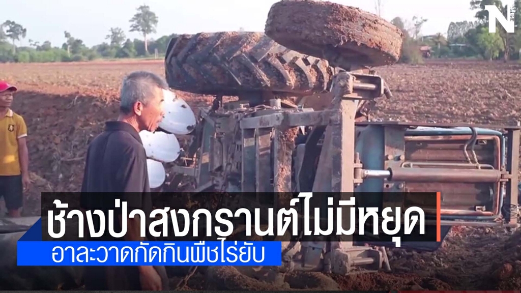 สงกรานต์หยุดแต่ช้างป่าเขาใหญ่ไม่หยุด สงกรานต์หยุดแต่ช้างป่าเขาใหญ่ไม่หยุด