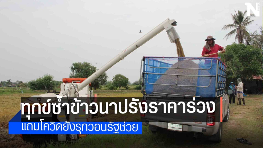 รัฐบาลช่วยด้วยชาวนากำลังจะตาย