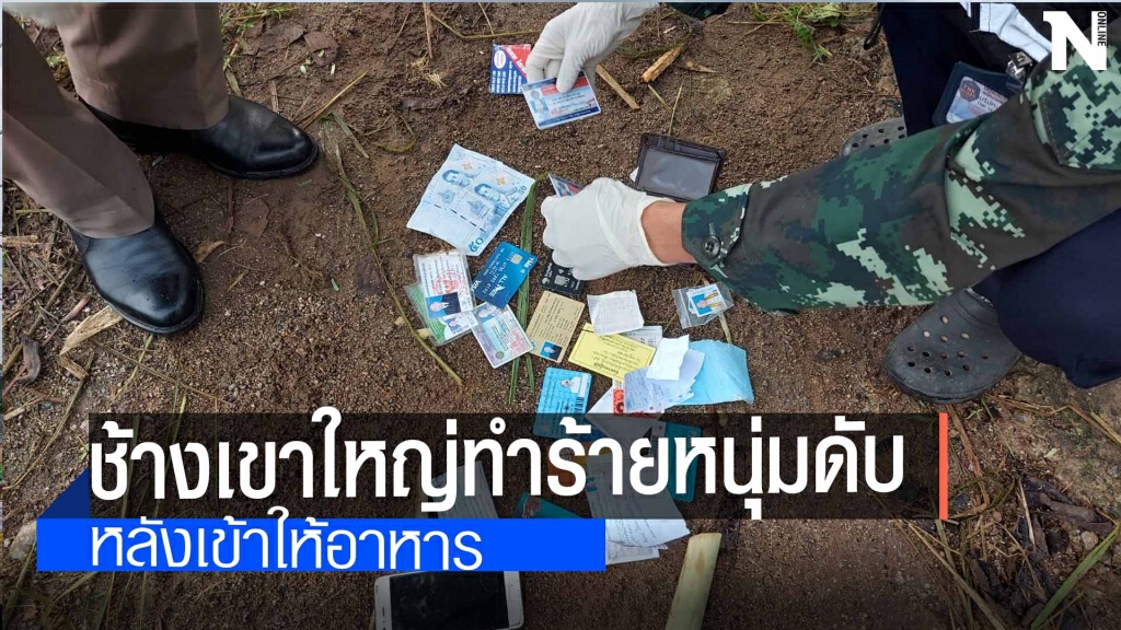 หนุ่มใหญ่ขรก.ซี8ให้อาหารช้างเจอสะบัดเหยียบซ้ำดับ หนุ่มใหญ่ขรก.ซี8ให้อาหารช้างเจอสะบัดเหยียบซ้ำดับ