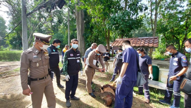 หนุ่มใหญ่ขรก.ซี8ให้อาหารช้างเจอสะบัดเหยียบซ้ำดับ