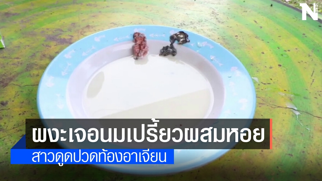 มาได้อย่างไรนมเปรี้ยวผสมหอย