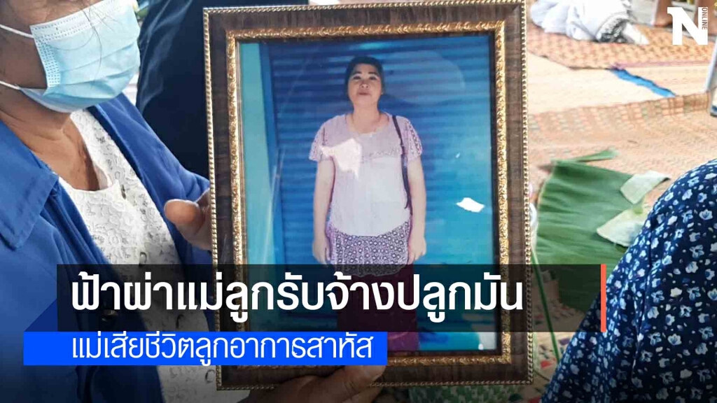 ฟ้าผ่าแม่ลูกร้บจ้างปลูกมันสำปะหลัง