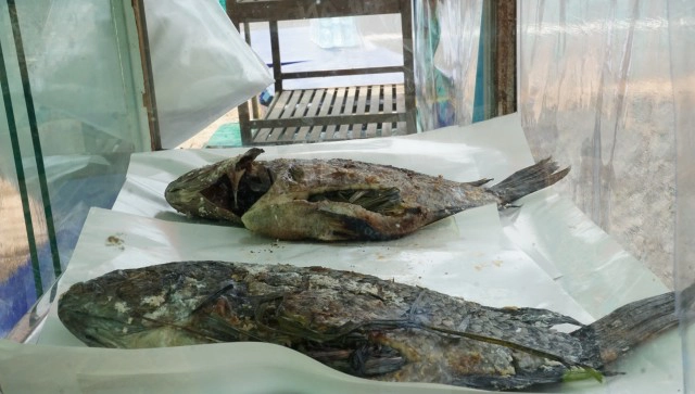 หมดทางสู้หนุ่มประกาศขายไตหาเงินลงทุน