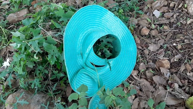 ฟ้าผ่าแม่ลูกร้บจ้างปลูกมันสำปะหลัง