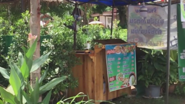 หนอนบุกร้านข้าวมันไก่เริ่มเป็นดักแด้ ชาวบ้านแห่ขอซื้อไปขาย