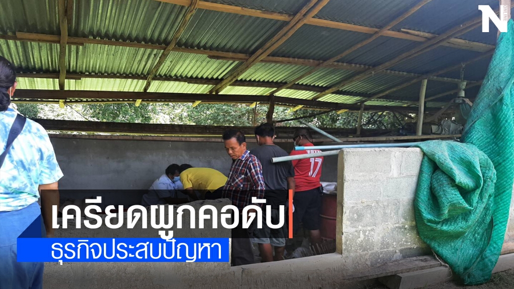 เจ้าของฟาร์มโคนมเครียดทำธุรกิจขาดทุน จบชีวิตผูกคอตาย