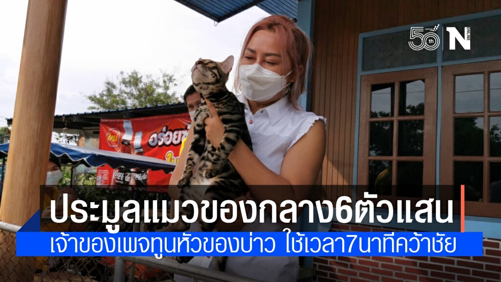 เจ้าของเพจทูนหัวของบ่าว ทุ่มเงินแสนประมูลคว้าแมวของกลาง 6 ตัว ภายใน 7 นาที