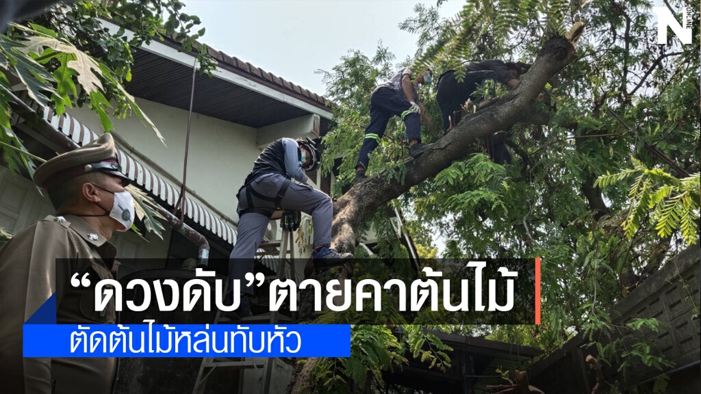 ดวงดับตัดต้นไม้ทับหัวตายคาที่ ดวงดับตัดต้นไม้ทับหัวตายคาที่