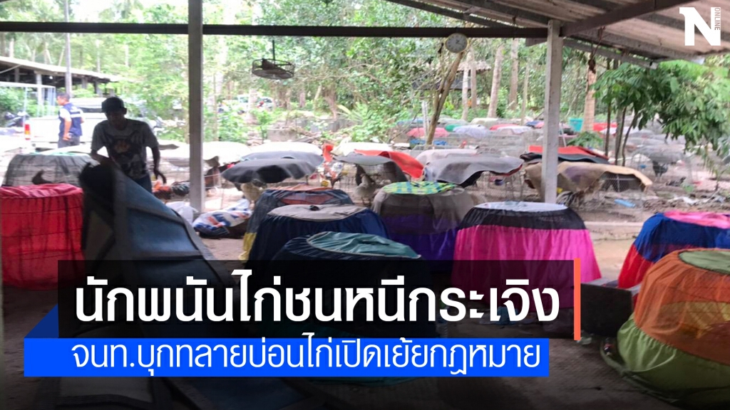บุกทลายบ่อนไก่ชนเมืองคอนเปิดเย้ยกม. บุกทลายบ่อนไก่ชนเมืองคอนเปิดเย้ยกม.